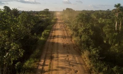 ponte-sobre-o-igarape-rio-novo