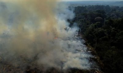 queimadas-na-amazonia-aumentam