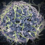 surto-de-ebola-na-republica-de