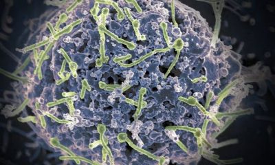 surto-de-ebola-na-republica-de