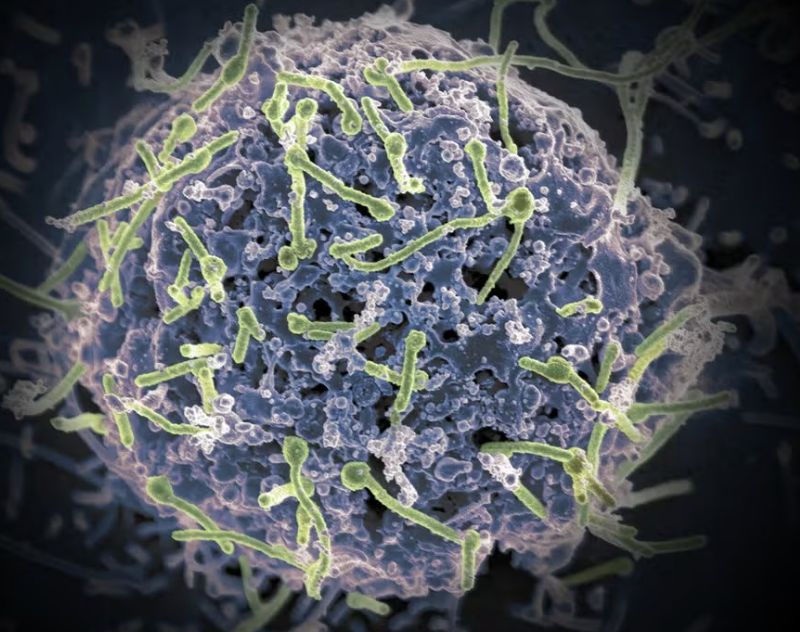 surto-de-ebola-na-republica-de