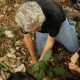 terceiro-setor-critica-pl-que-