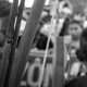 amazonas-teve-o-segundo-maior-