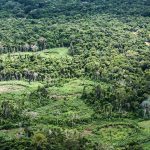 amazonia-indigenas-catalogam-e