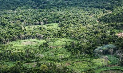 amazonia-indigenas-catalogam-e