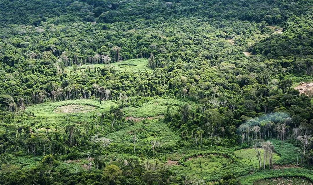 amazonia-indigenas-catalogam-e
