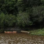 amazonia-tem-desmatamento-zero