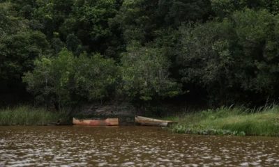 amazonia-tem-desmatamento-zero