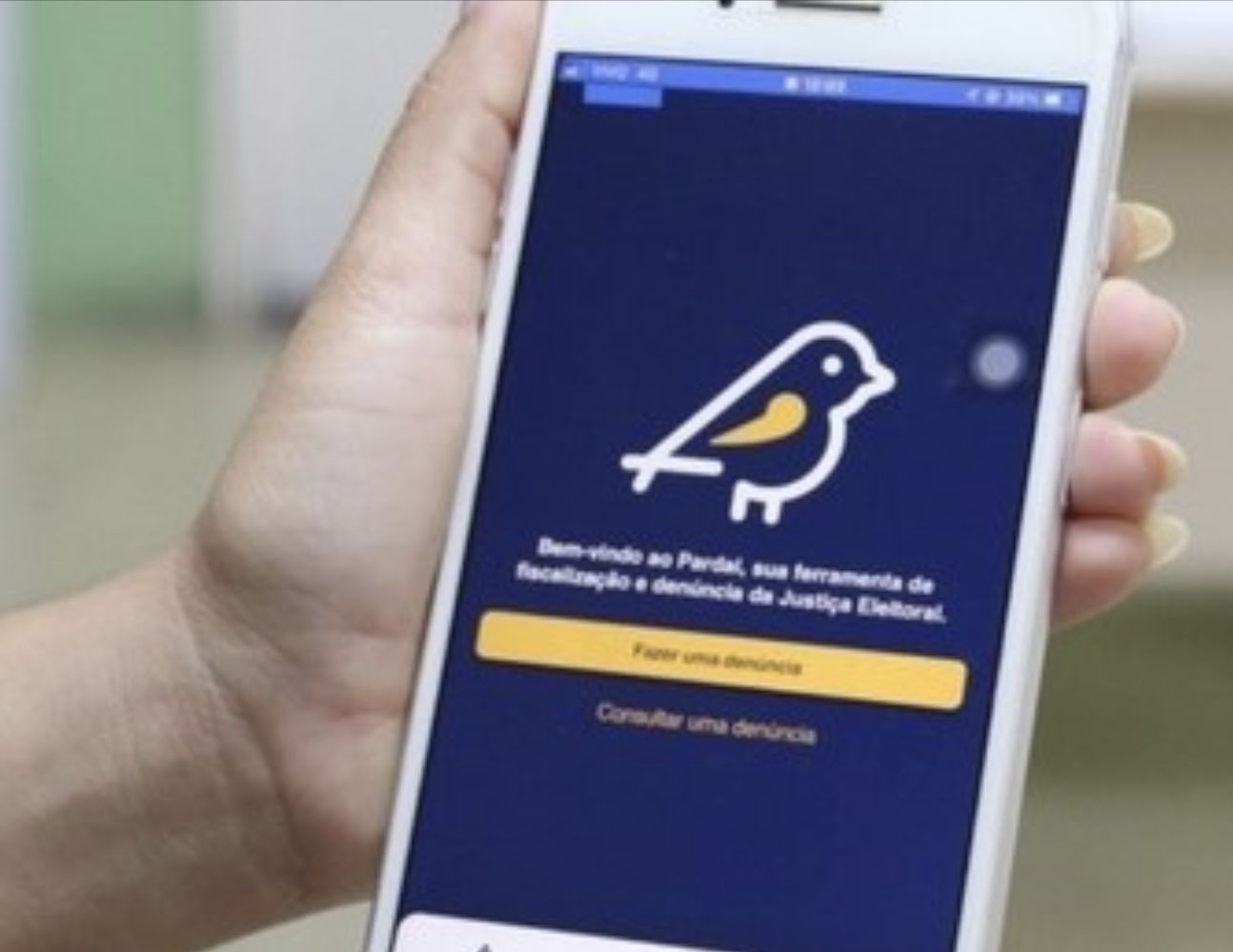 aplicativo-para-denuncias-de-i