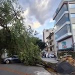 cientistas-fazem-previsoes-de-