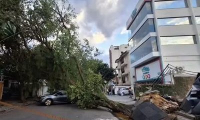 cientistas-fazem-previsoes-de-