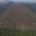 desmatamento-na-amazonia-cai-3