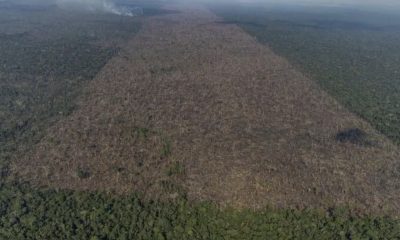 desmatamento-na-amazonia-cai-3