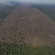 desmatamento-na-amazonia-cai-3