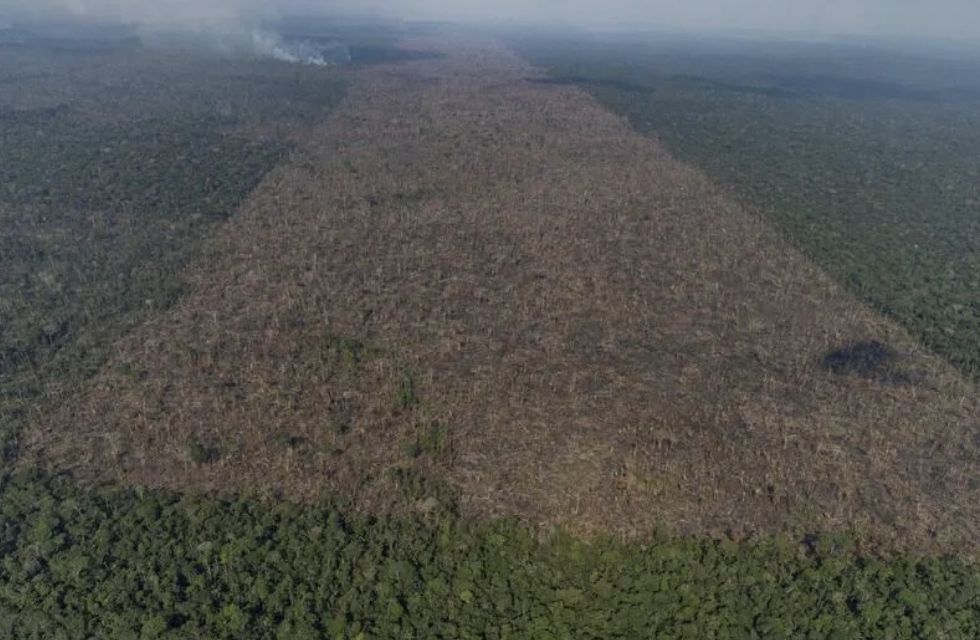 desmatamento-na-amazonia-cai-3