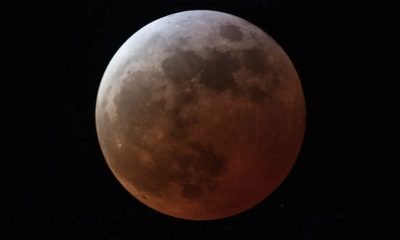 eclipse-lunar-de-grande-magnit