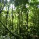 edital-estabelece-chamada-para