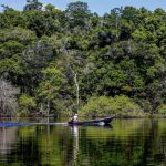 floresta-amazonia-abre-edital-