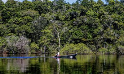 floresta-amazonia-abre-edital-
