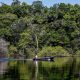 floresta-amazonia-abre-edital-