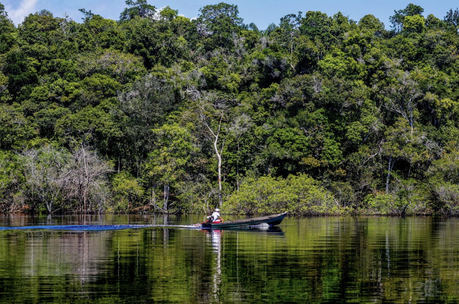 floresta-amazonia-abre-edital-