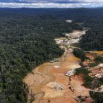 garimpo-ilegal-no-amazonas-mpf