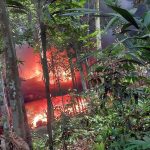 na-amazonia-pf-destroi-estrutu