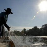 regras-de-defeso-na-amazonia-s