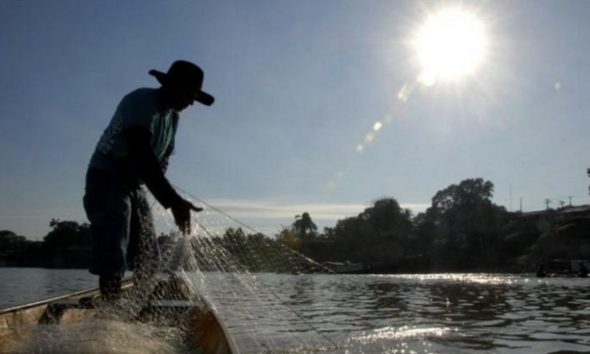 regras-de-defeso-na-amazonia-s