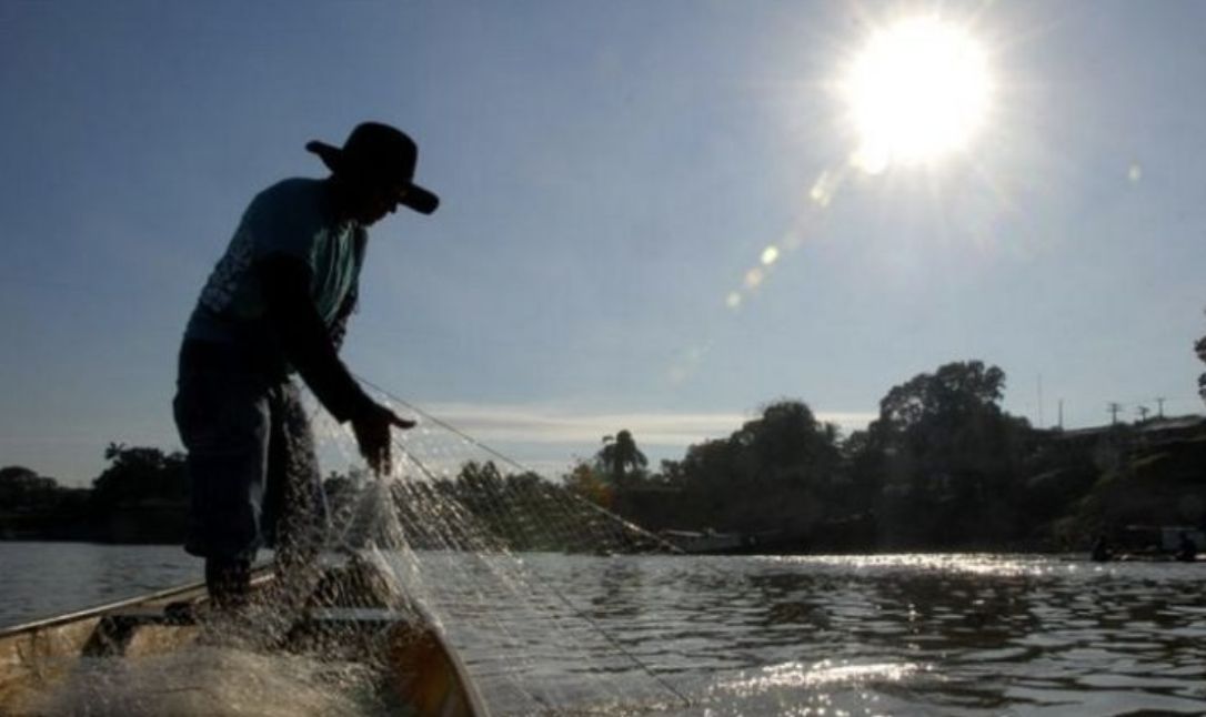 regras-de-defeso-na-amazonia-s
