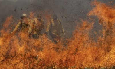 el-nino-16-estados-e-o-df-ja-a