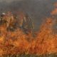 el-nino-16-estados-e-o-df-ja-a